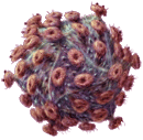 virus image